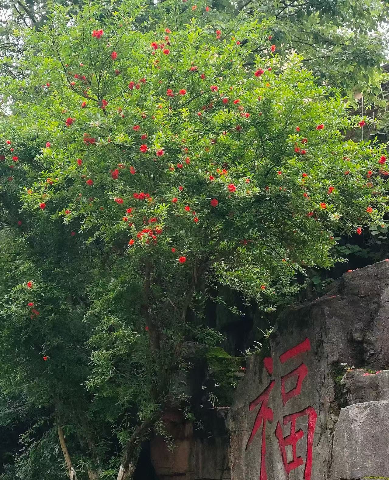 郴州旅游租車/包車23座