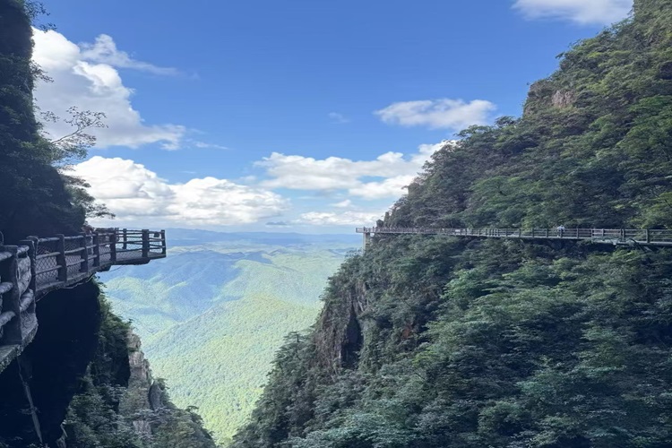 郴州租車/包車|一篇看懂：怎么選、不被坑！